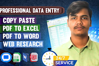 do data entry, pdf to excel or word and copy paste within 24 hours