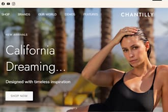 design luxury and aesthetic bikini shopify store bikini website lingerie website
