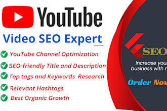 do best youtube video SEO expert and channel  optimization