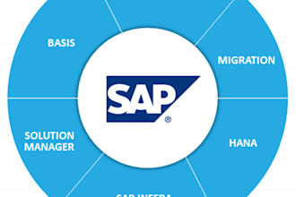 sap monitoring, health check e system optimization