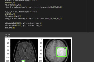 do affordable ai model creation and training