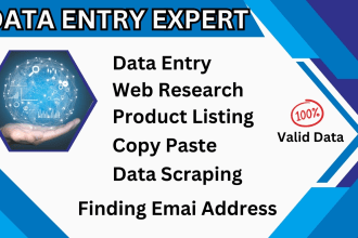 do PDF to excel data entry, web research and scraping, copy paste and find email