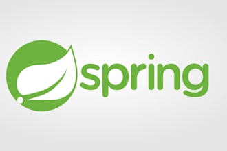create software on spring boot framwork