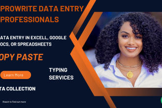 do data entry in excel, google docs, or  web search