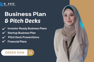create investor ready business plan and financial projections