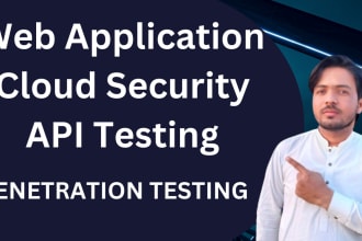 conduct a web application and cloud penetration test