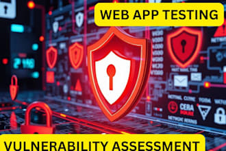 do professional penetration testing and cybersecurity assessments