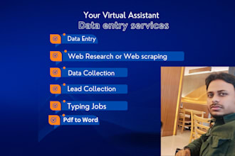 data entry pro with streamlining your info processing needs