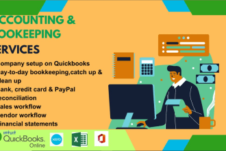 do daily bookkeeping, clean up, catch up using quickbooks, xero, wave and excel