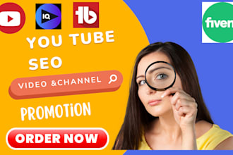 do best youtube video SEO for organic ranking
