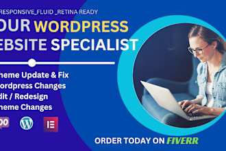 fix, update or debug your wordpress website