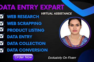 do data entry,data collection,web research,copy paste, excel data entry