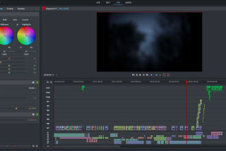 edit any video using premiere pro