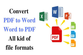 convert PDF file to excel,PDF to ms word, or data entry