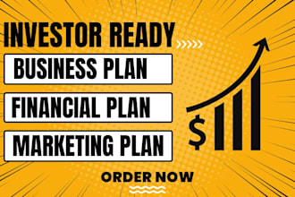 write investor ready business plan financial business plan and pitch deck