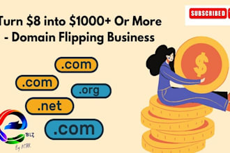 domain brokerage service, domain broker, domain manager, strategist domain agent