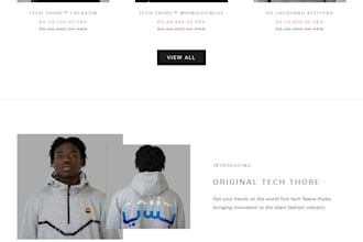 custom shopify store development and theme customization