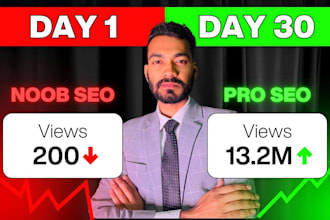 youtube SEO expert to rank videos and grow channel organically