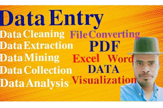 do data entry, web research, convert pdf to word, ms, excel data entry