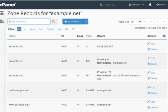 manage your domain website or email migration and dns