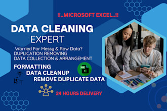 do ms excel or CSV data cleaning, formatting, organize, remove duplicate