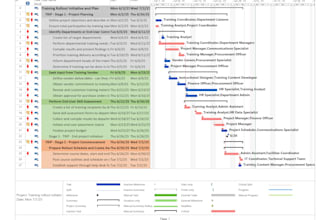 build an automated excel gantt chart and ms project schedule in 2 hours