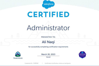 be your salesforce admin and consultant