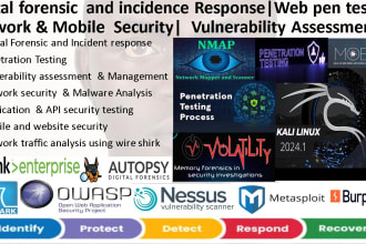 conduct digital forensic, penetration testing, vulnerability assessment services