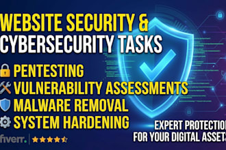 perform application security testing and malware removal