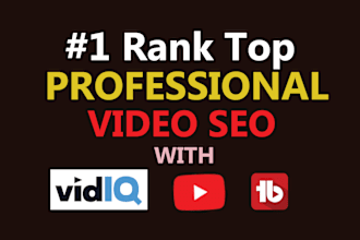 do the best youtube video SEO to improve channel and organic video promotion