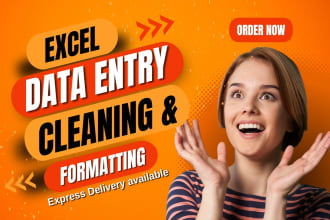 do ms excel data entry, data cleaning, data formatting, and data analysis