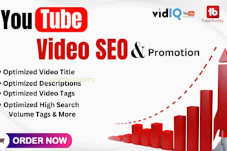 do best top rank youtube video SEO and organic promotion