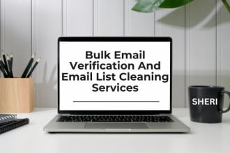 provide bulk email verification and email list cleaning service