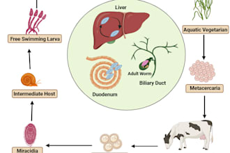 create your figures by using biorender and coogle it software