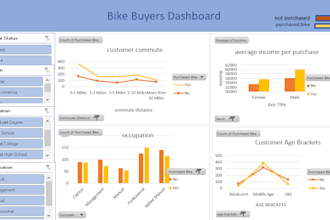 create excel charts, graphs, pivot tables, and dashboard