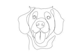 minimalist continuous line art within 5 hrs