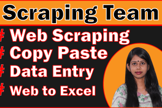 do web scraping, data entry, copy paste and web to excel job