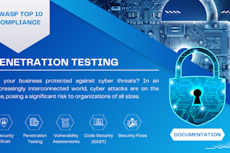 penetration test on your website with a professional report