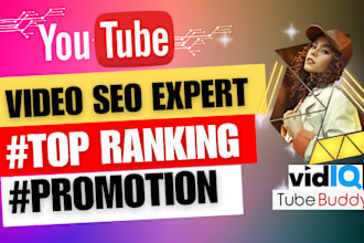 do best youtube video seo expert and channel create and setup for top ranking