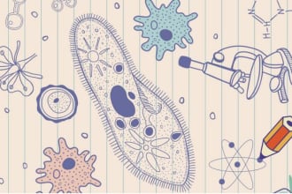 assist you in biology biochemistry and high school maths