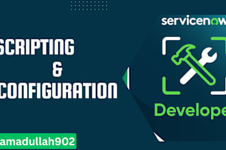 do any kind of servicenow scripting and service now configuration