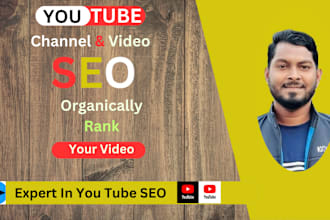 do your video seo and instant view subscriber generated