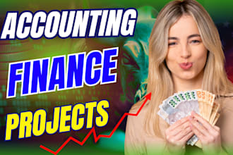 do excel project,accounting,finance model assignment analysis report