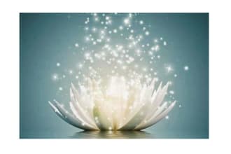 cast an extremely powerful indian spell on your wish