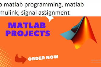 do matlab programming, matlab simulink, signal assignment