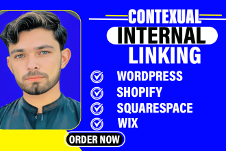 optimize your website internal linking, external links, 301 pages and 404 errors
