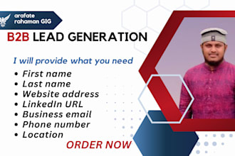 professional b2b lead generation specialist