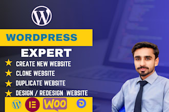 create premium ecommerce store and wordpress website