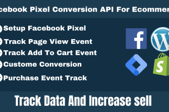 setup meta facebook pixel conversion API for ecommerce google tag ang ga4