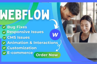 fixing bugs, addressing errors, and resolving issues with webflow